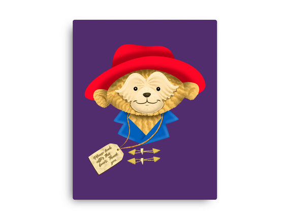 Please Look After This Bear