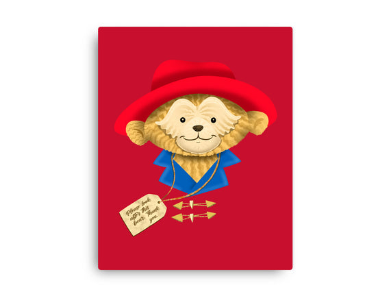 Please Look After This Bear