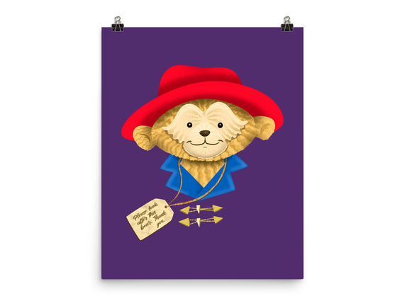 Please Look After This Bear