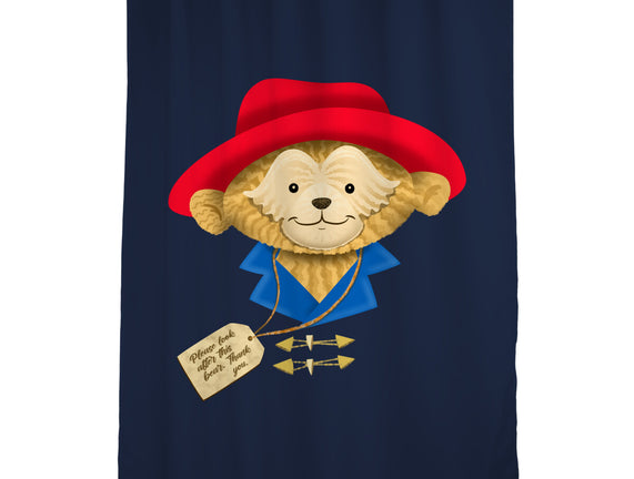 Please Look After This Bear