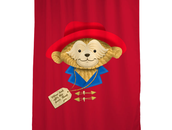 Please Look After This Bear