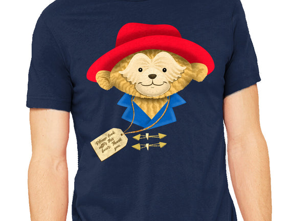 Please Look After This Bear