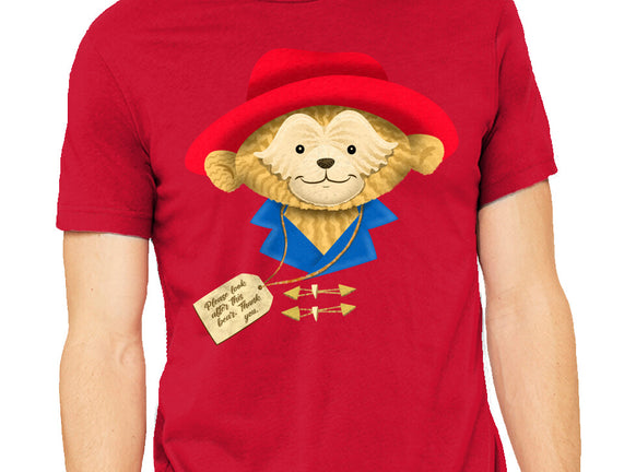 Please Look After This Bear