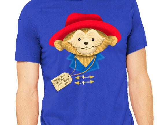 Please Look After This Bear