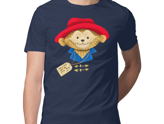 Please Look After This Bear