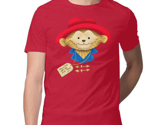 Please Look After This Bear