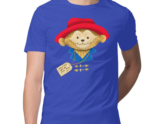 Please Look After This Bear