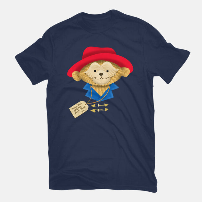 Please Look After This Bear-Womens-Fitted-Tee-DrawnByBryan