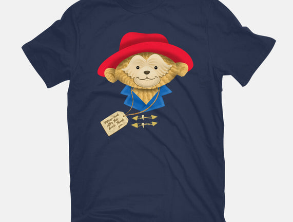 Please Look After This Bear