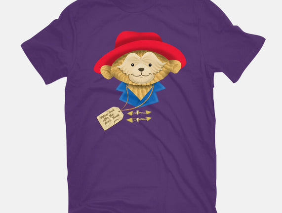 Please Look After This Bear