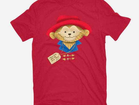 Please Look After This Bear