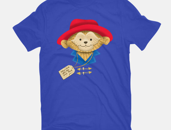 Please Look After This Bear