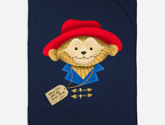 Please Look After This Bear