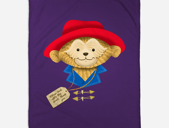 Please Look After This Bear