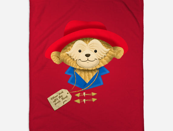 Please Look After This Bear
