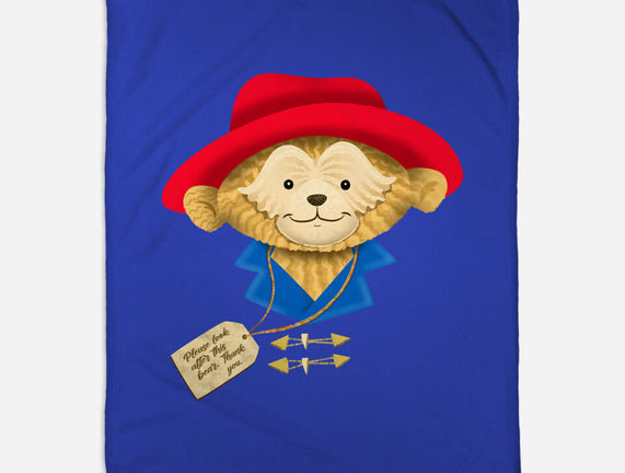 Please Look After This Bear