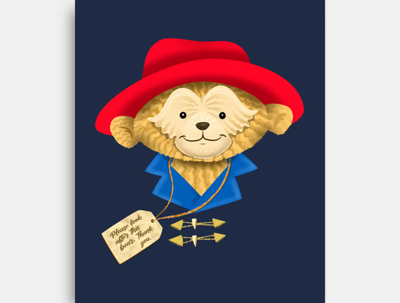 Please Look After This Bear