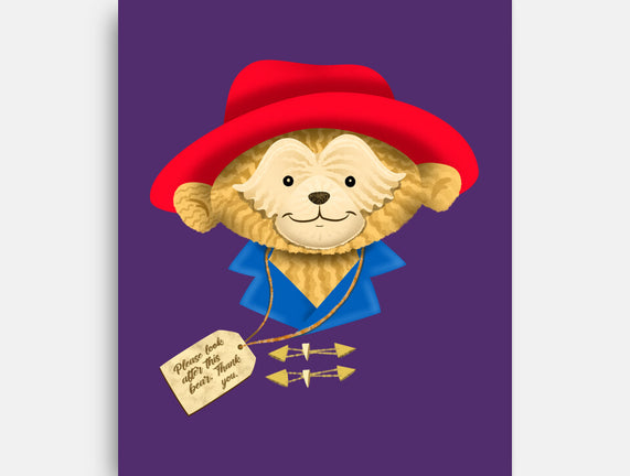 Please Look After This Bear