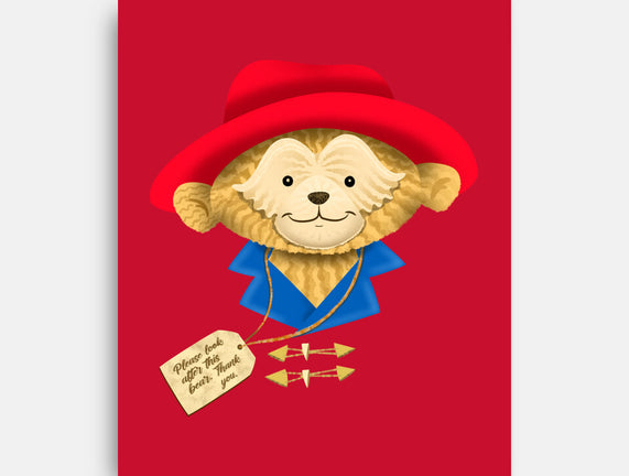 Please Look After This Bear