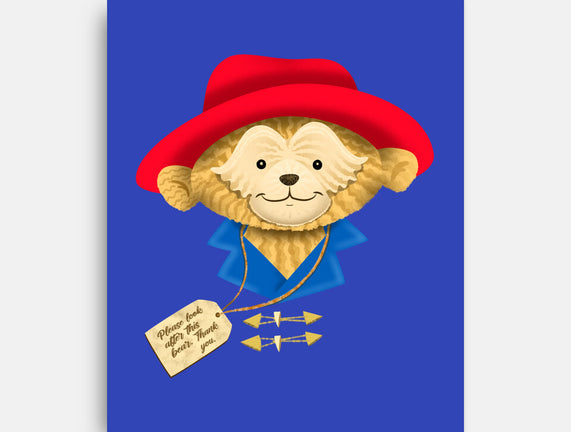 Please Look After This Bear