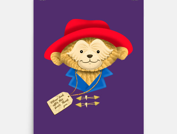 Please Look After This Bear