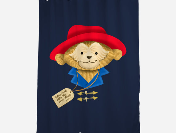Please Look After This Bear