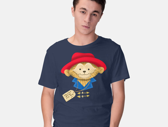 Please Look After This Bear
