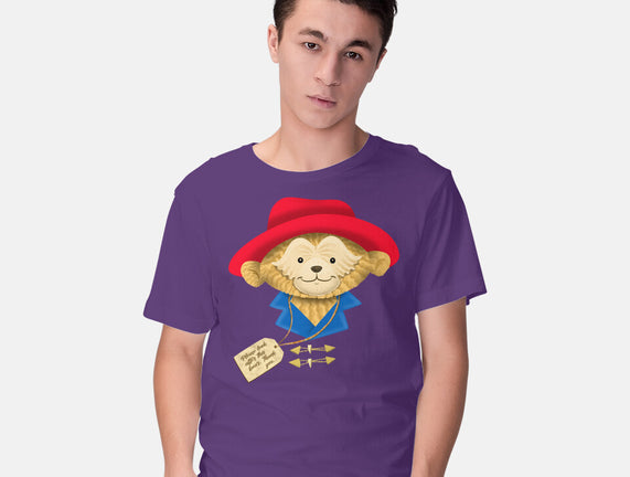 Please Look After This Bear