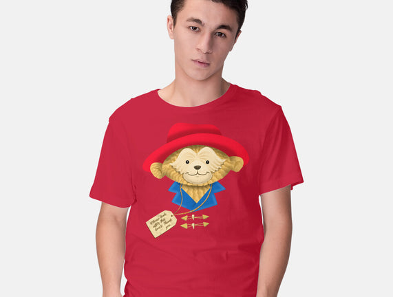 Please Look After This Bear