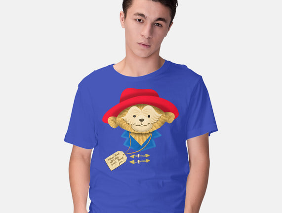 Please Look After This Bear