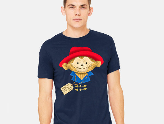 Please Look After This Bear