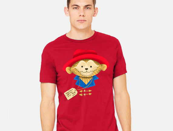 Please Look After This Bear