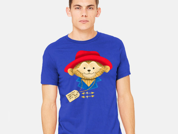 Please Look After This Bear