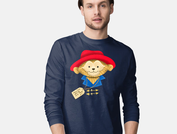 Please Look After This Bear