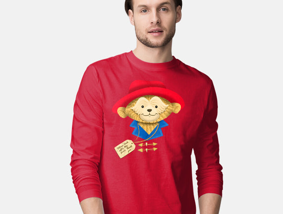 Please Look After This Bear