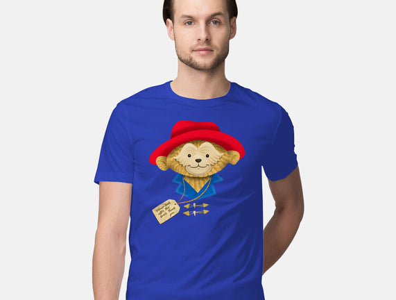 Please Look After This Bear