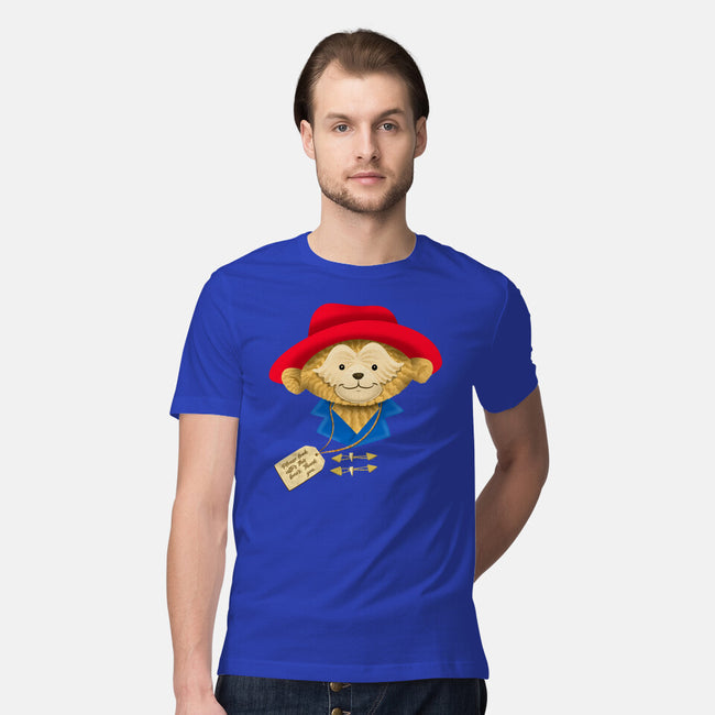 Please Look After This Bear-Mens-Premium-Tee-DrawnByBryan