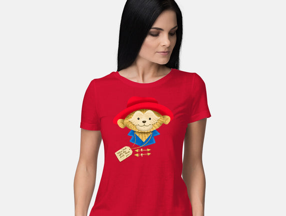 Please Look After This Bear