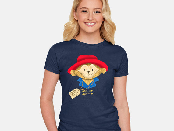 Please Look After This Bear