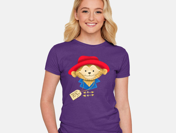 Please Look After This Bear