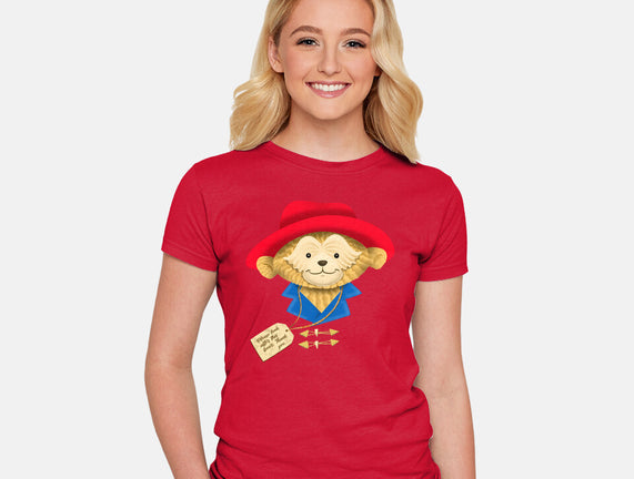 Please Look After This Bear