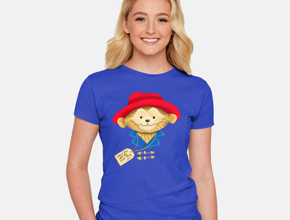 Please Look After This Bear
