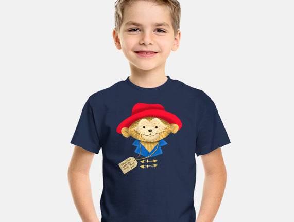 Please Look After This Bear