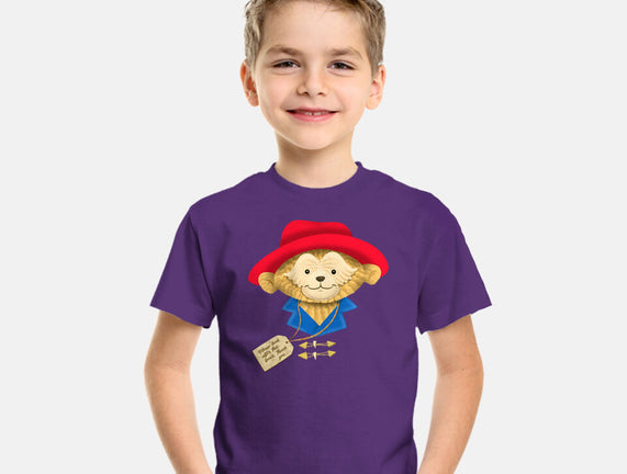 Please Look After This Bear