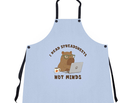 I Read Spreadsheets