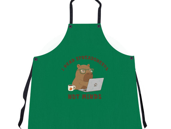 I Read Spreadsheets