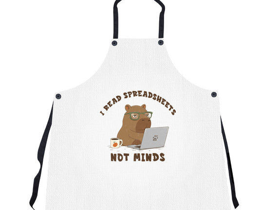 I Read Spreadsheets