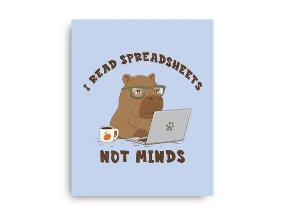 I Read Spreadsheets