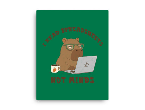 I Read Spreadsheets