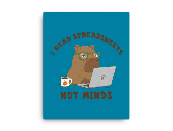 I Read Spreadsheets